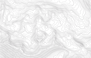 Holz Querschnitt Illustration